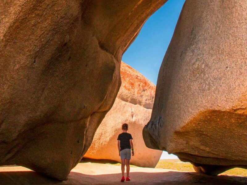 From Penneshaw: Kangaroo Island Sights and Wildlife Tour - Exploring the Itinerary: What You Can Expect