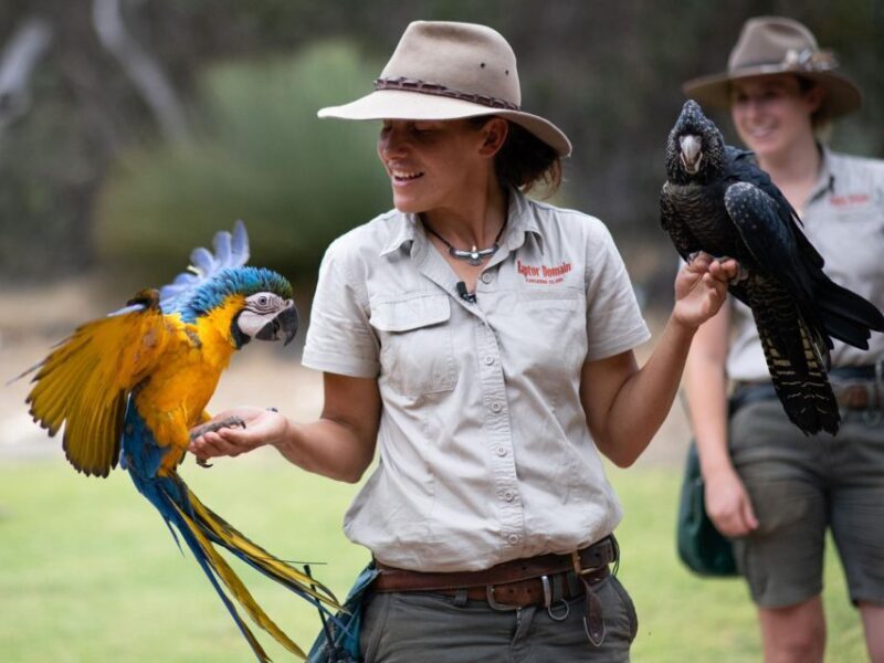 From Penneshaw: Kangaroo Island Sights and Wildlife Tour - FAQs