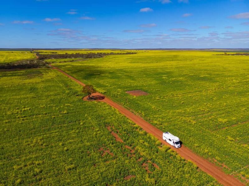 From Perth: Australian Animal Night Safari - Who Comes Out Ahead?