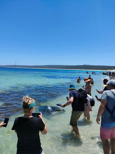 From Perth: Margaret River Region Impression Day Tour - FAQ
