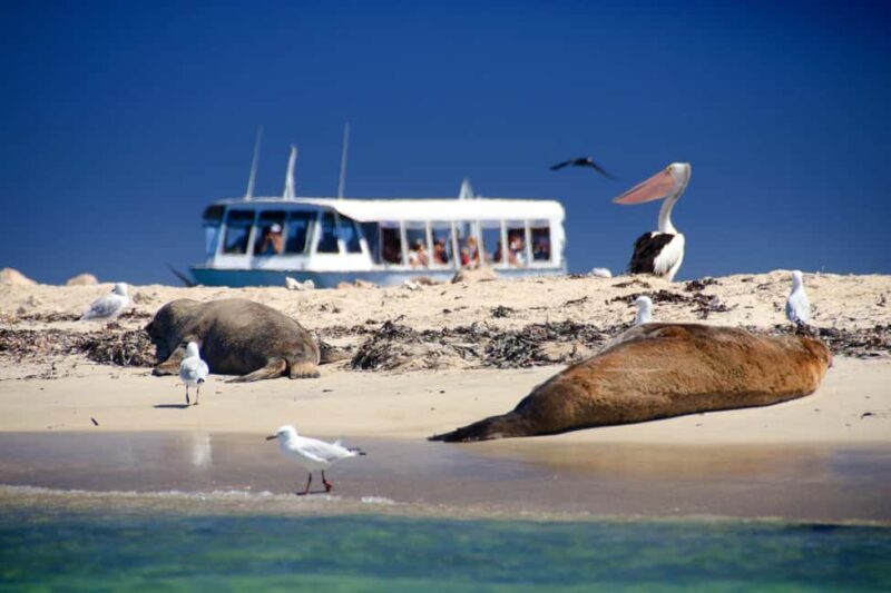 From Perth: Margaret River Wine Tour & Wildlife Cruise - From Perth: Margaret River Wine Tour & Wildlife Cruise – A Detailed Review