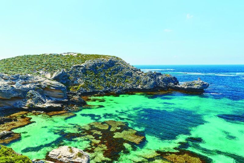 From Perth or Fremantle: Rottnest Explorer Segway Tour - A Detailed Look at the Rottnest Explorer Segway Tour