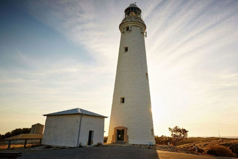From Perth or Fremantle: Rottnest Island Ferry and Bus Tour - An In-Depth Look at the Rottnest Island Day Trip
