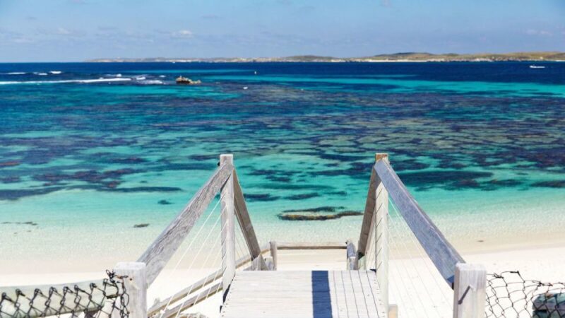 From Perth or Fremantle: Rottnest Island Seafood Cruise - Key Points