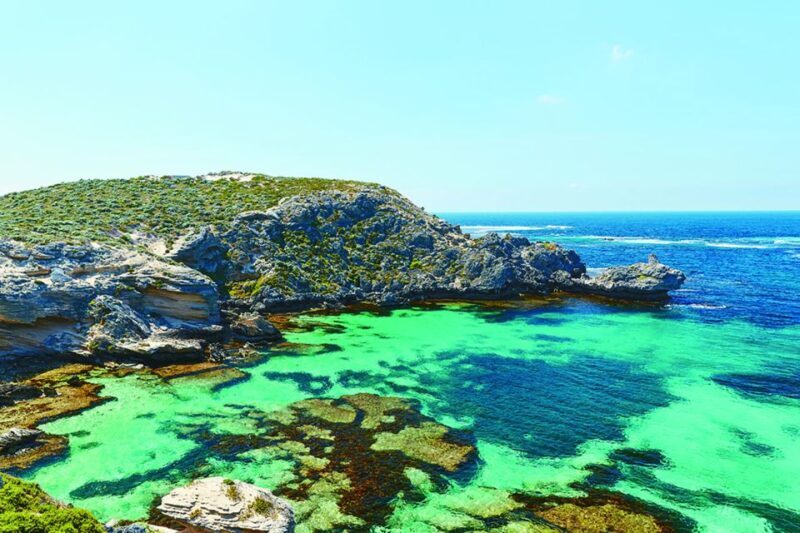 From Perth or Fremantle: Rottnest Island Seafood Cruise - The Journey to Rottnest Island: Scenic and Relaxing
