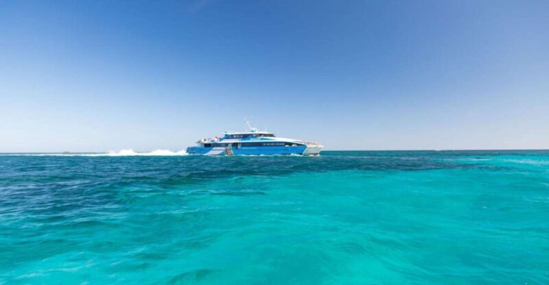 From Perth or Fremantle: Rottnest Island Seafood Cruise - The Quality of the Experience: What Guests Say