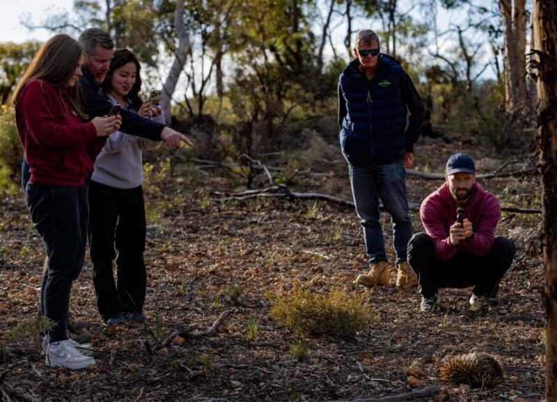 From Perth: Perth Wildlife Tour Under the Stars with Dinner - FAQ