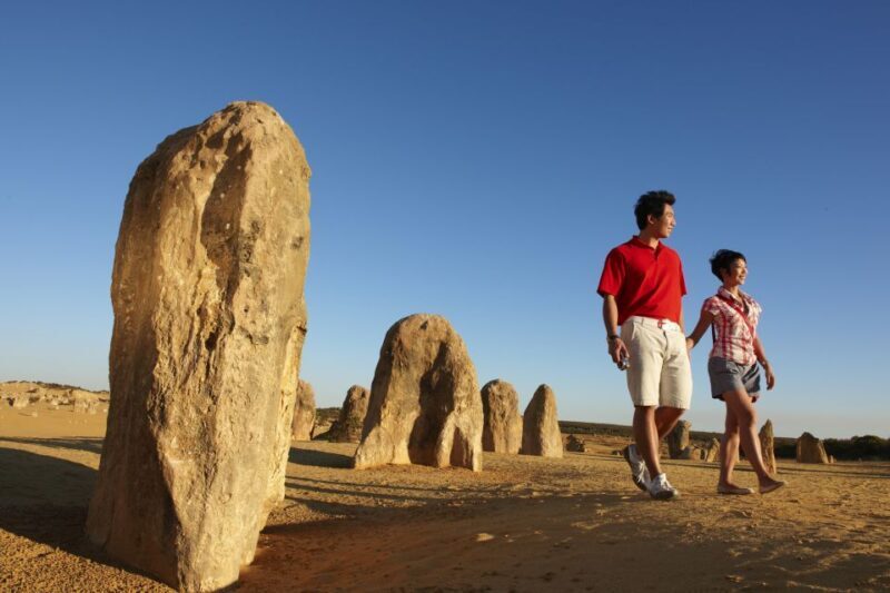 From Perth: Pinnacles Desert, Yanchep & Swan Valley Day Tour - Practical Details and Value