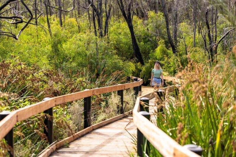 From Perth: Pinnacles Lobster Shack and Yanchep Day Trip - The Sum Up