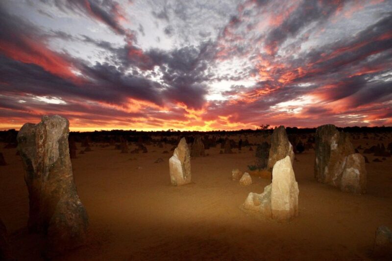 From Perth: Pinnacles Sunset and Stargazing Tour with Dinner - Exploring Western Australia’s Scenic Highlights