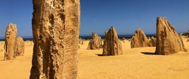 From Perth: Pinnacles Tour, Early Start, Avoid Crowds & Heat - What to Expect on the Tour
