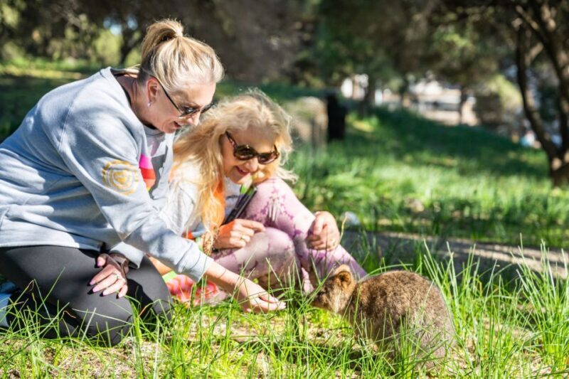 From Perth: Rottnest Island Full-Day Bike and Ferry Trip - The Itinerary: What to Expect from Start to Finish