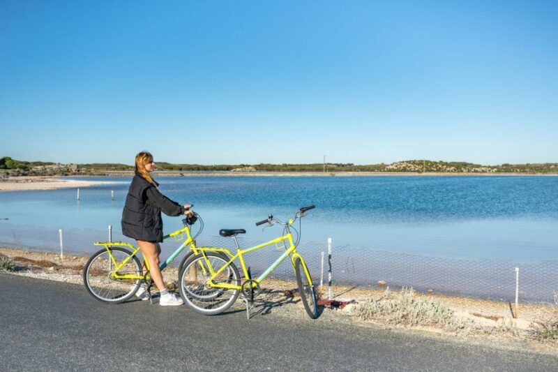 From Perth: Rottnest Island Full-Day Bike and Ferry Trip - The Experience: What Reviewers Say