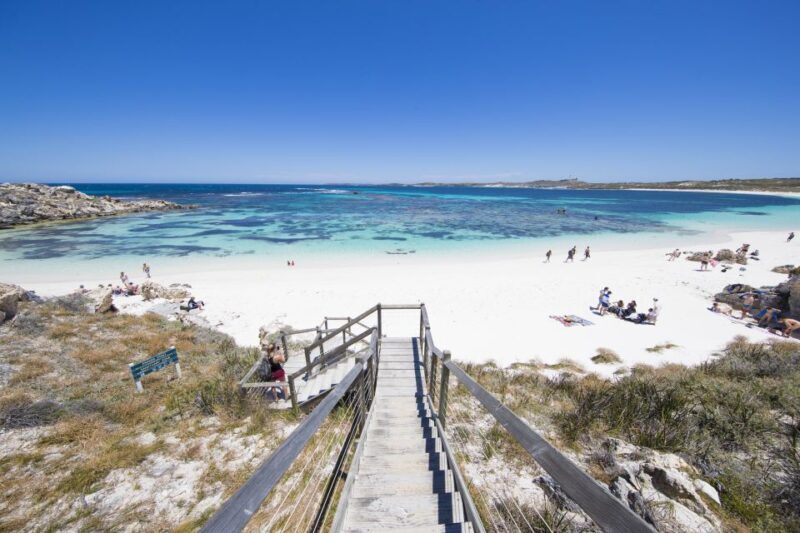 From Perth: Rottnest Island Grand Island Day Tour with Lunch - Who Will Love This Tour?