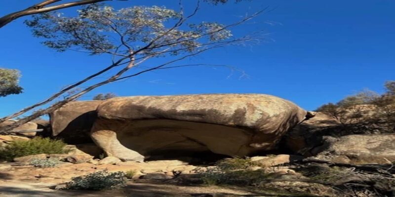 From Perth: Wave Rock Private Tour - Key Points