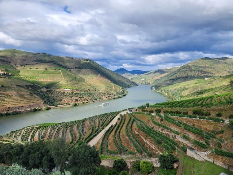 from-peso-da-regua-visit-3-wineries-tasting-and-viewpoint