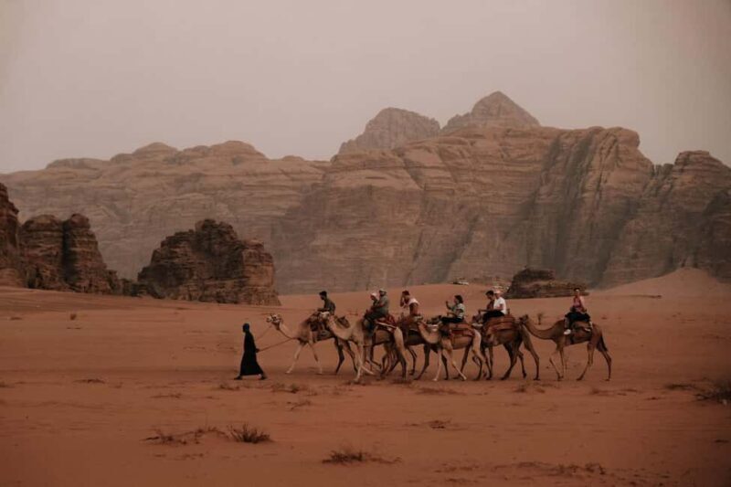 From Petra: Visit wadi rum back to Amman or Amman Airport - The Experience: What You Can Expect