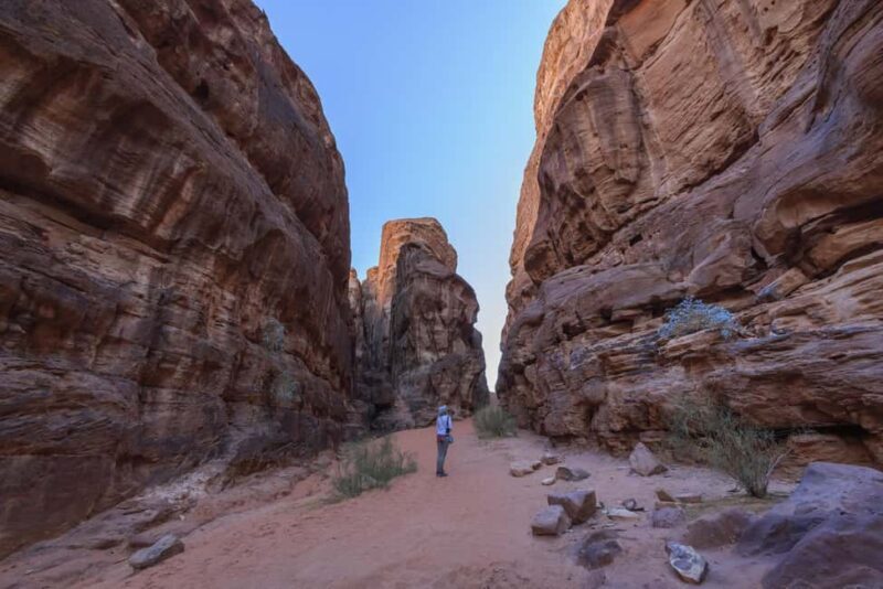 From Petra/Wadi Musa: Wadi Rum Jeep Tour with Hotel Transfer - Who Should Consider This Tour?