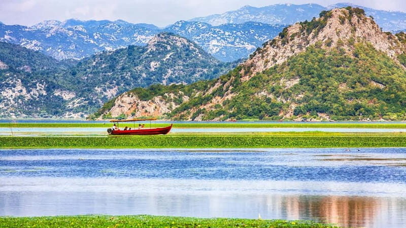 From Petrovac or Budva: Skadar Lake Cruise with Lunch - Key Points