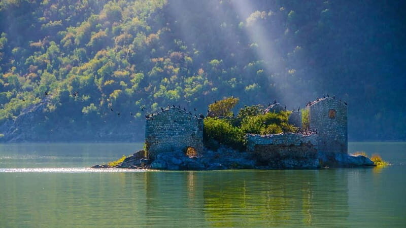 From Petrovac or Budva: Skadar Lake Cruise with Lunch - Exploring Montenegro’s Natural Treasure: The Skadar Lake Tour