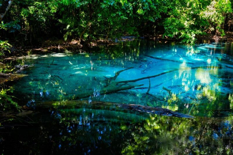 from-phi-phi-day-tour-to-krabi-with-transfers-private-car