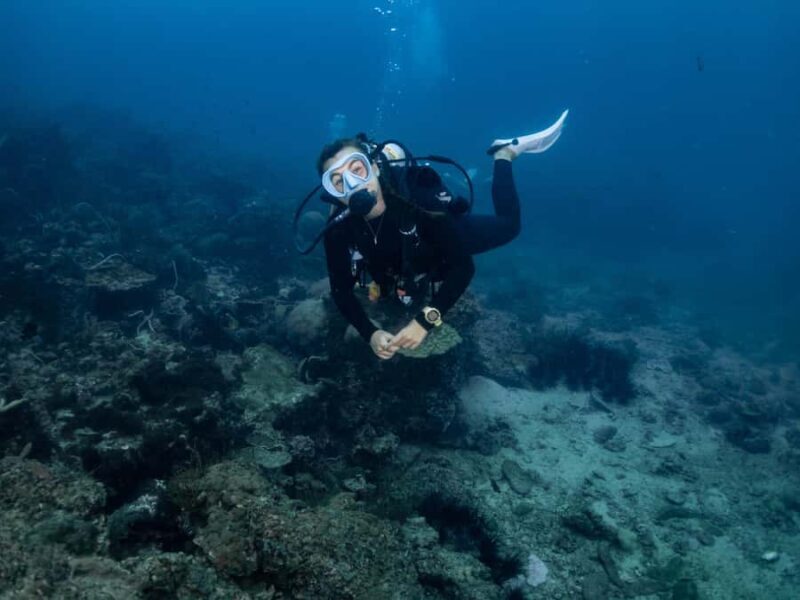 From Phi Phi: Half-Day Trip for Certified Divers (2 Dives) - FAQ