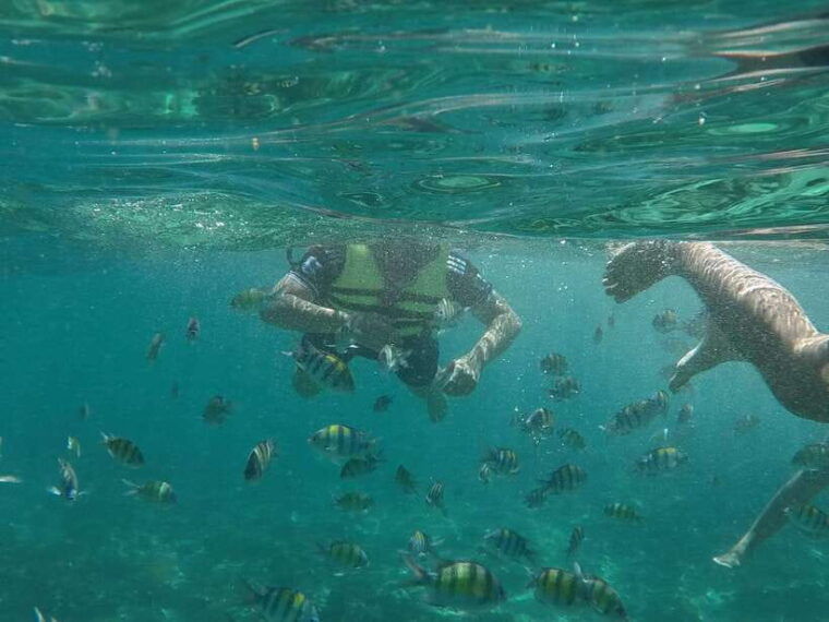 from-phi-phi-island-exclusive-long-tail-experience