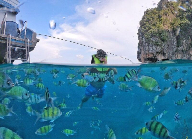 from-phi-phi-maya-bay-sunset-cruise-and-plankton-swimming
