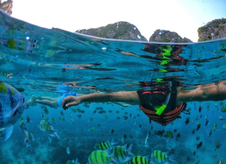 from-phi-phi-maya-bay-sunset-cruise-and-plankton-swimming