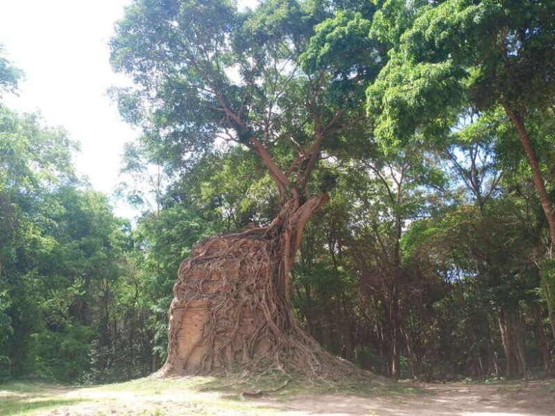 from-phnom-penh-7-day-private-tour-to-siem-reap