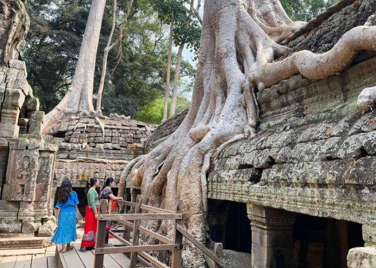 from-phnom-penh-angkor-wat-bayon-and-ta-prohm-day-trip
