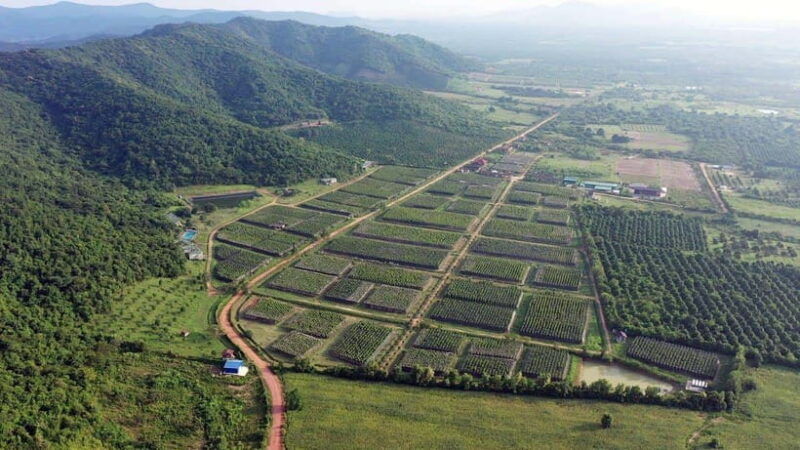 from-phnom-penh-kampot-day-trip-to-beautiful-place-w-guide