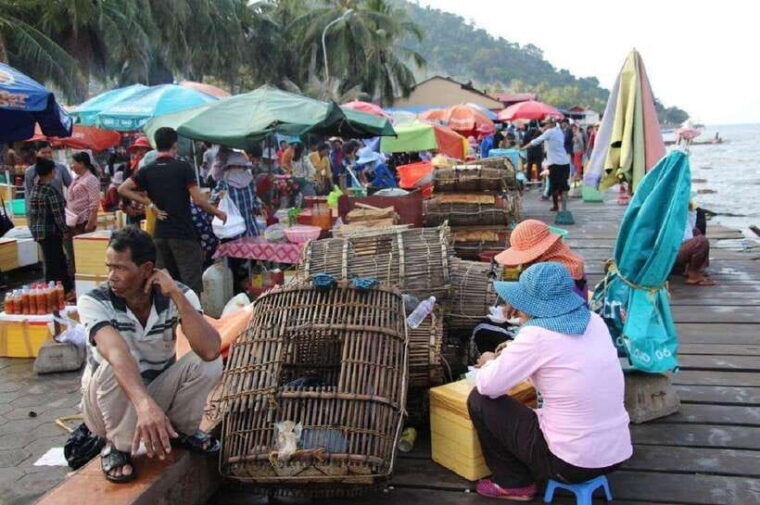 from-phnom-penh-kampot-day-trip-to-beautiful-place-w-guide