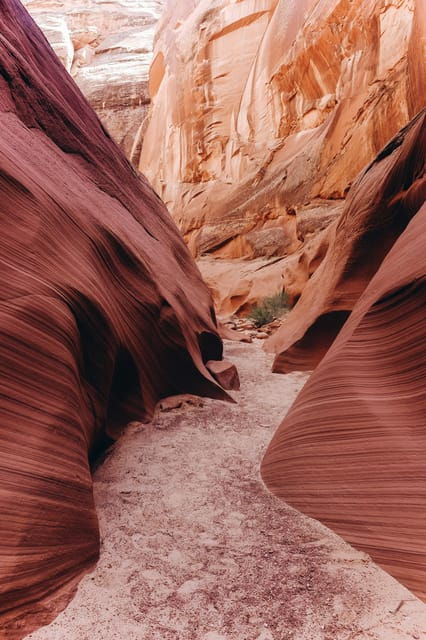 from-phoenix-antelope-canyon-and-horseshoe-bend-day-tour