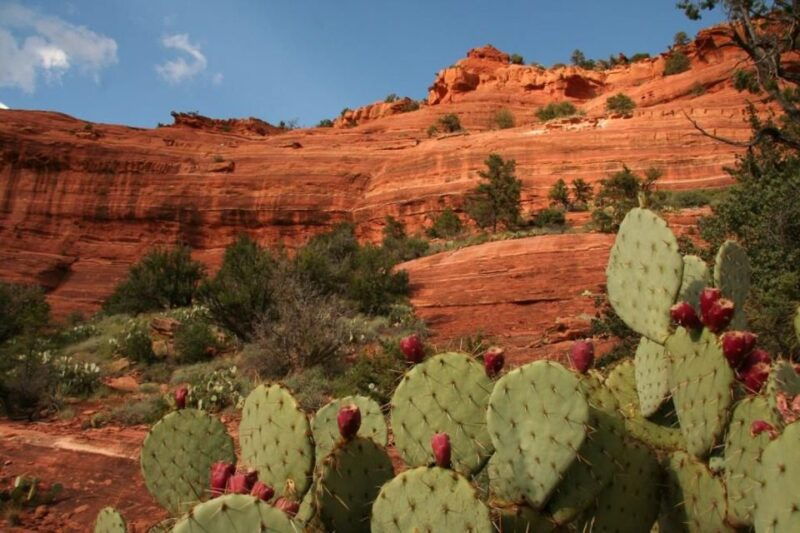 from-phoenix-full-day-sedona-small-group-tour