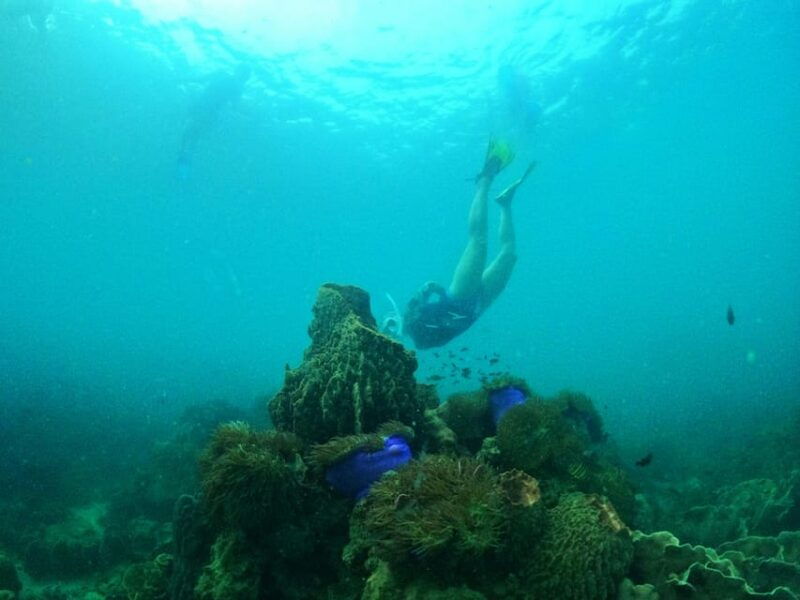 from-phu-quoc-discover-4-islands-by-speedboat-full-day-tour