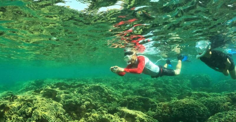 from-phu-quoc-discover-4-islands-by-speedboat-full-day-tour