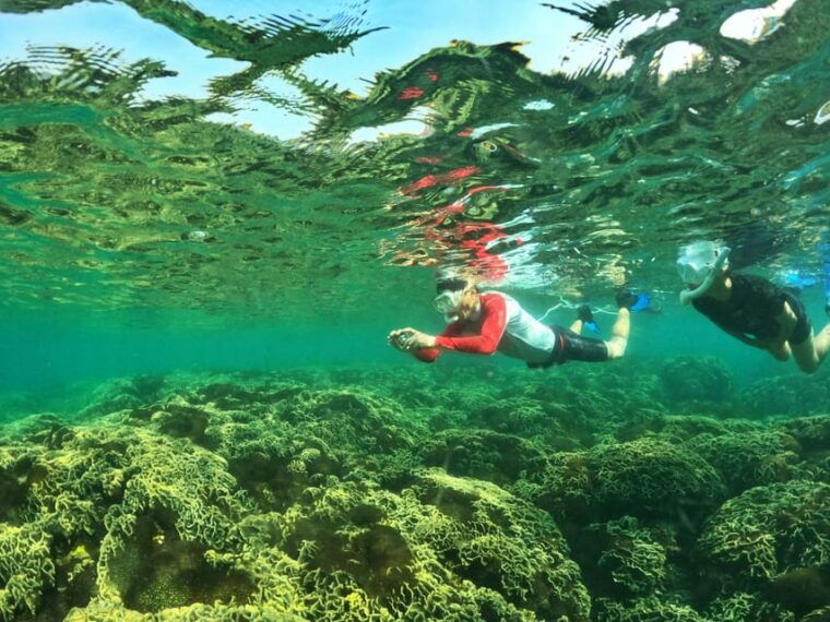 from-phu-quoc-discover-4-islands-by-speedboat-full-day-tour