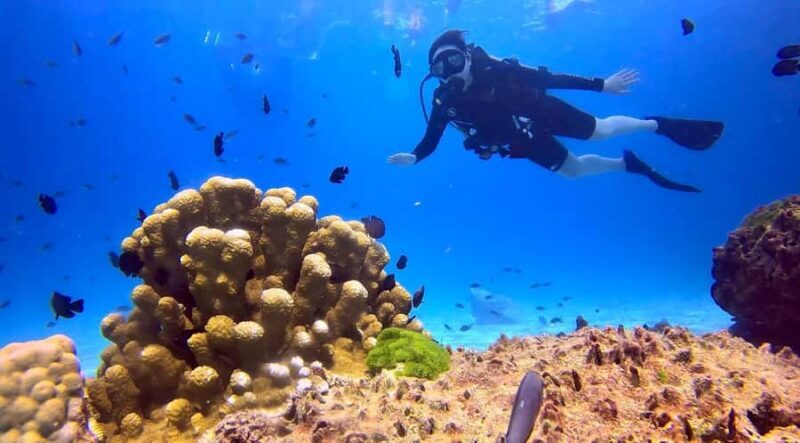 From Phuket: 3-Day SSI/PADI Open Water Diver Certification - The Learning Experience