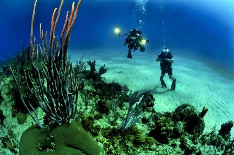 from-phuket-3-day-ssi-padi-open-water-diver-certification
