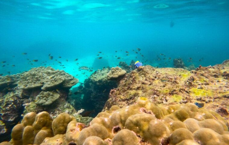 from-phuket-day-trip-to-phi-phi-with-private-longtail-tour
