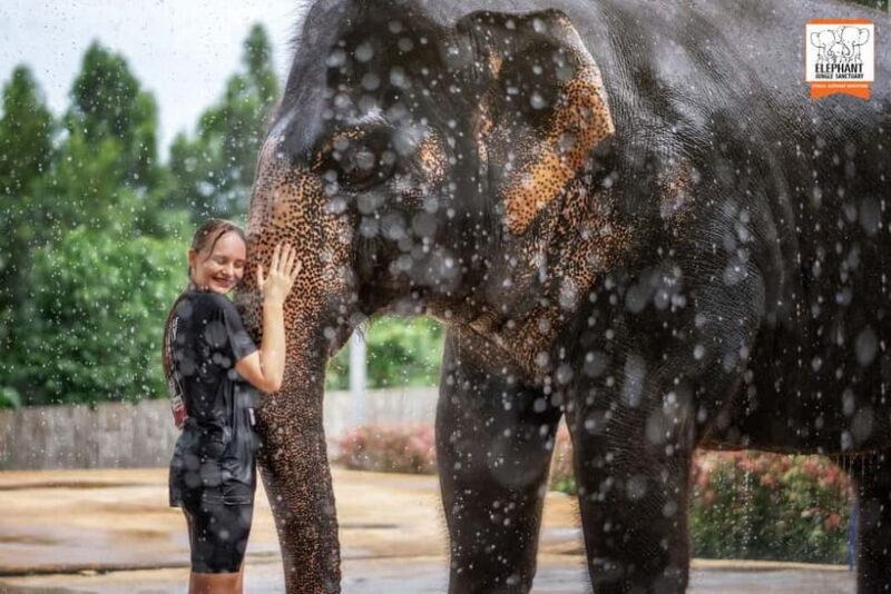 From Phuket: Elephant Jungle Sanctuary Feed and Shower Trip - Practical Tips for Travelers