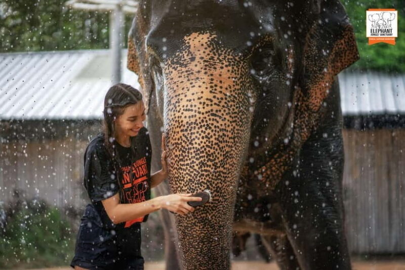 From Phuket: Elephant Jungle Sanctuary Feed and Shower Trip - FAQs