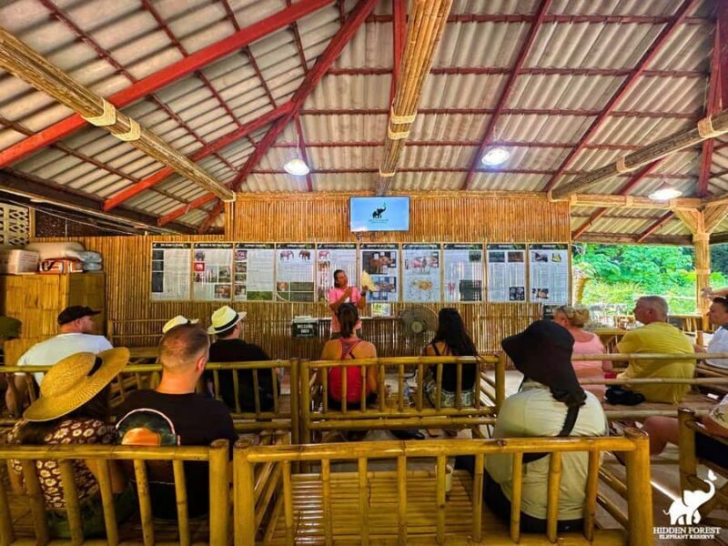 From Phuket: Elephant Reserve Tour with Meal & Transfer - Final Thoughts