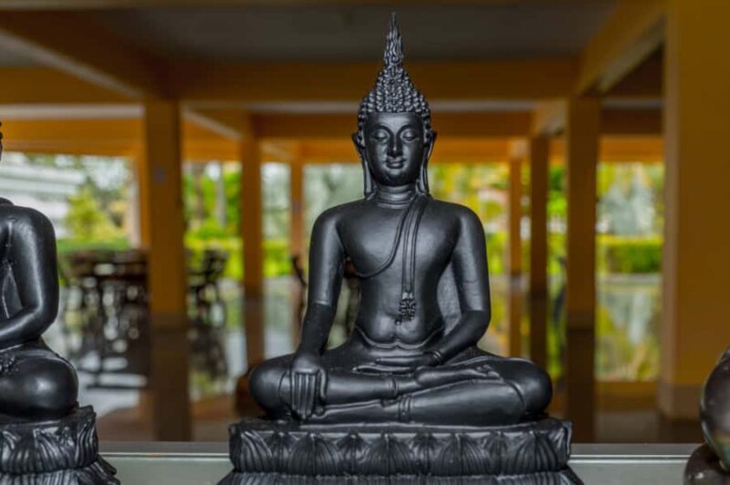 From Phuket: Elephant & Sea Turtle Conservation Private Tour - Final Thoughts