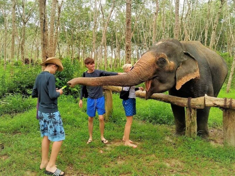 from-phuket-elephant-sea-turtle-conservation-private-tour