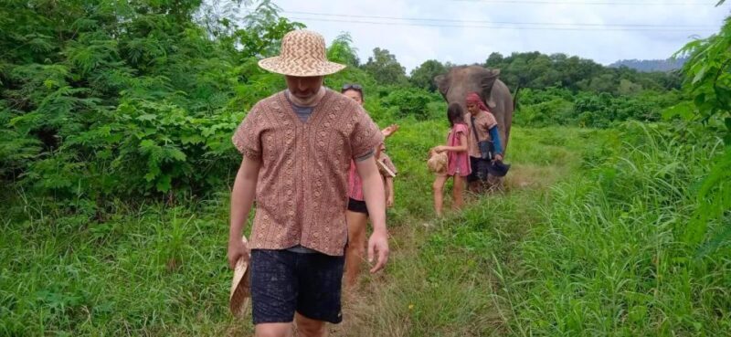 From Phuket: Ethical Elephant Interactive Trek and Tour - Practical Tips for Future Visitors