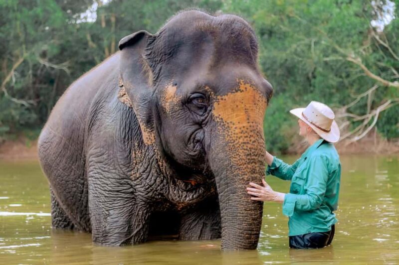 From Phuket: Ethical Elephant Interactive Trek and Tour - The Sum Up
