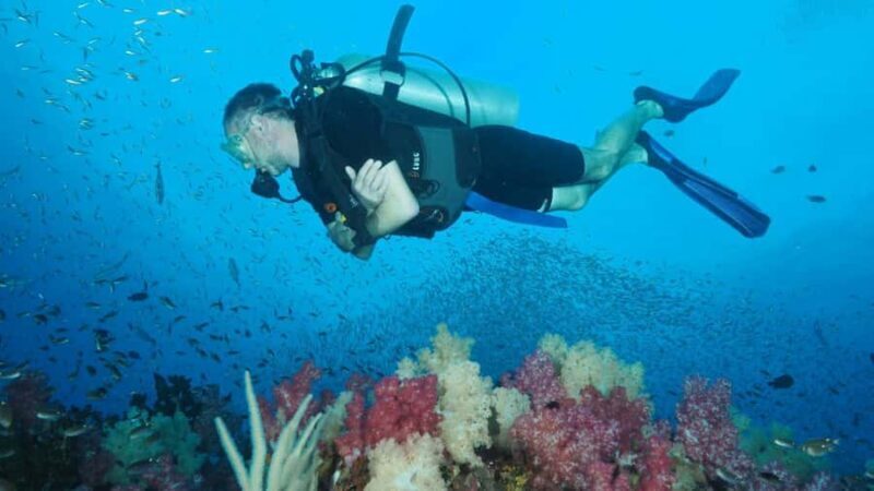 From Phuket: Full-Day Similan Island Scuba Diving Day Trip - The Sum Up: Who Should Book This Tour?