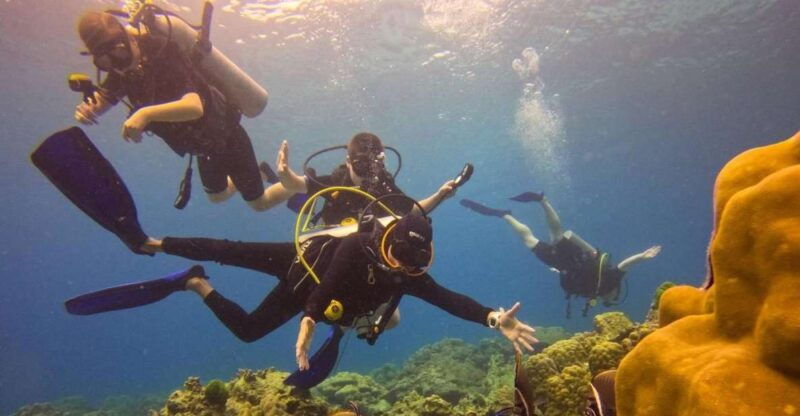 from-phuket-full-day-similan-island-scuba-diving-day-trip